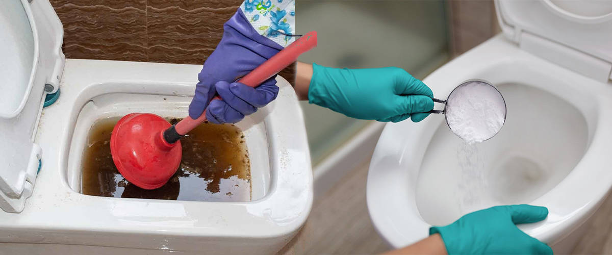 Blocked toilet solutions parzival