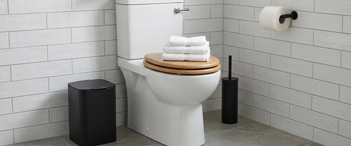 Clogged toilet services