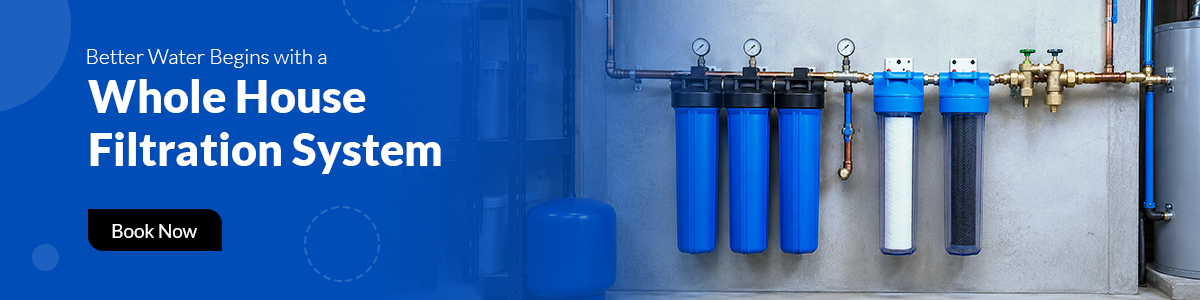 Best whole house water filtration system
