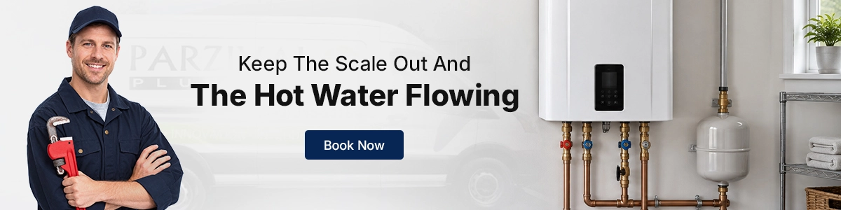 Tankless water heater descaling