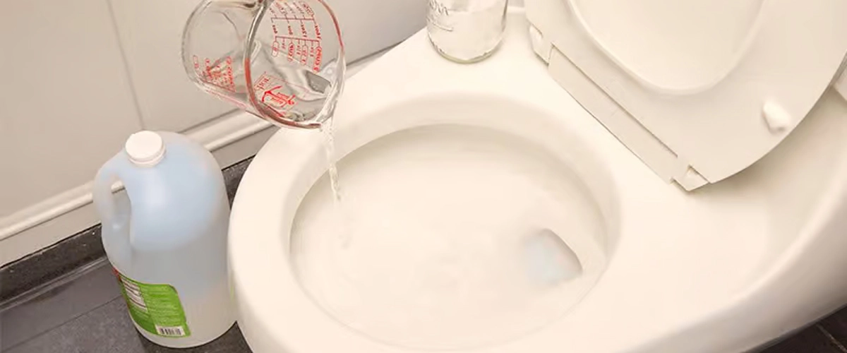 Clogged toilet solutions