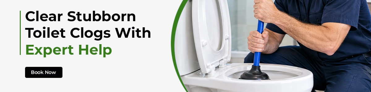 Toilet clog remover